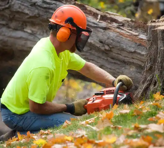 tree services Tonopah